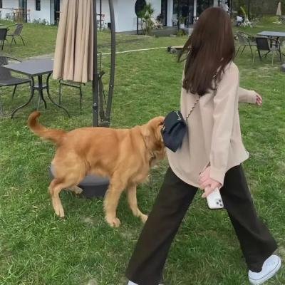 电玩先锋第二季